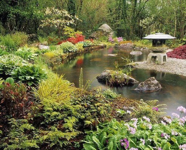Lantern And Pool, Japanese Garden, Ardcarrig, Co Galway, Ireland