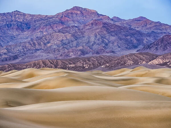Late day light over the Mesquite Sand dunes of Death Valley National Park, California, USA