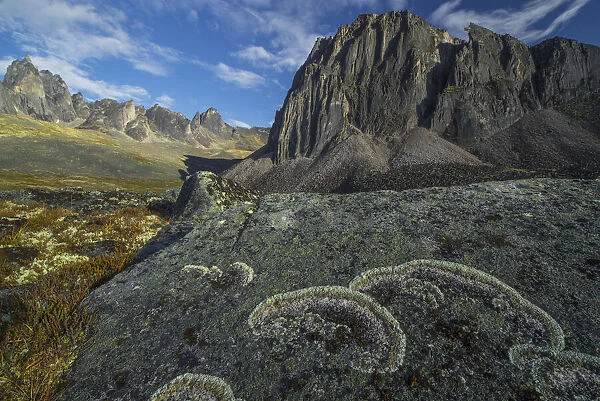 Lichen Covers A Rock In Unique Patterns While Large Granite Peaks Rise Above The Tundra Of Tombstone Territorial Park; Yukon, Canada