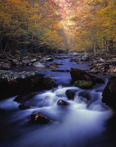 Little River Cascades And Autumn Colors, Great Smoky Mountains National Park