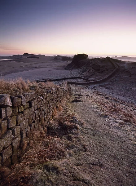 Looking Along Hadrians Wall Shortly Before Dawn, At Cuddys Crags Near Housesteads, Northumberland, England