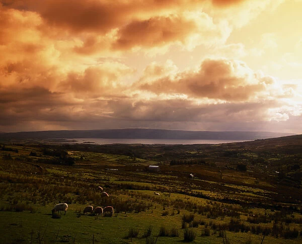 Lough Allen, County Leitrim, Ireland, From The Iron Mountains