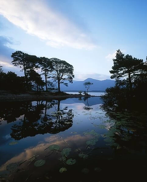 Lough Leane, Lakes Of Killarney, Killarney, Co Kerry, Ireland; Largest Lake Of The Lakes Of Killarney