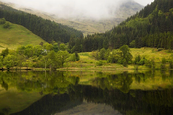 Lush Green Landscape With Grass, Trees And Low Cloud With Its Mirror Image In The Tranquil Water; Scotland