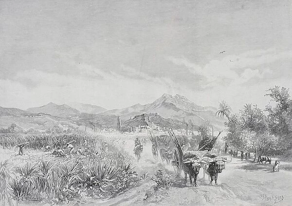 Malaga, Spain, From The Sugar Fields By Edward T. Compton (1849-1921) From The Picturesque Mediterranean Circa 1890