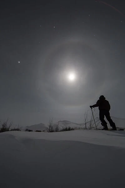 Man Snowshoeing Along The Dempster Highway Under A Moon Glowing With Rings; Yukon, Canada