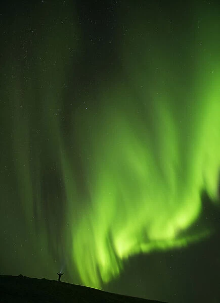 Man Standing Under The Northern Lights With His Arms Outstretched And A Head Lamp On; Iceland