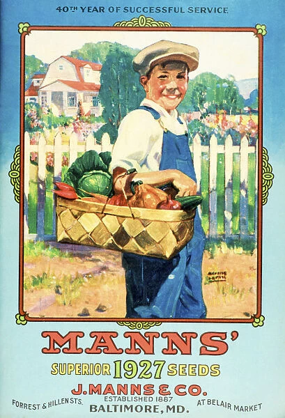 Manns Seed Catalog With Illustration Of Boy Holding Vegetables From The 20th Century