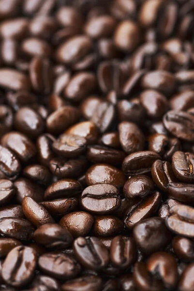 Medium Dark Roast Kona Coffee Beans Close Up; Holualoa, Big Island, Hawaii, United States Of America