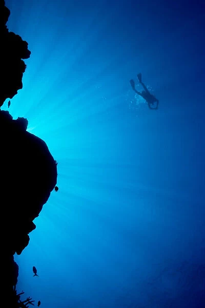 Micronesia, Yap, Light Rays Shining Through Reef Canyon, Diver In Distance