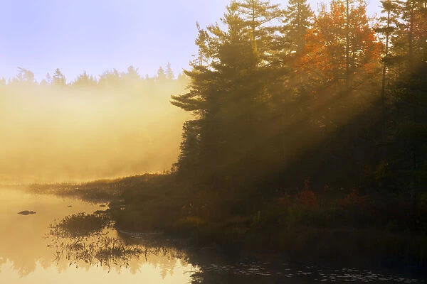 Mist At Sunrise, Soldier Lake, Nova Scotia