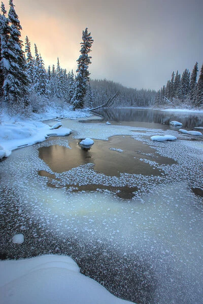 Morley River In Winter Near Teslin, Yukon