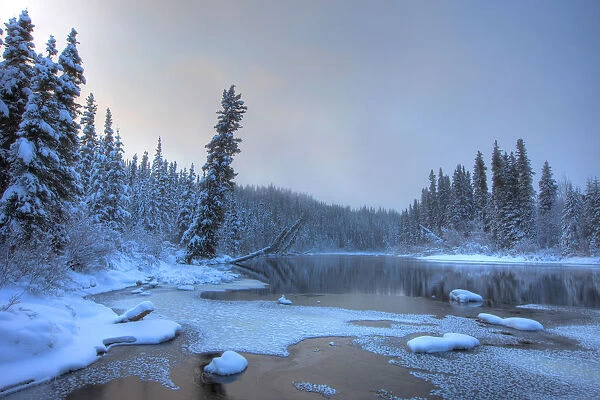 Morley River In Winter Near Teslin, Yukon