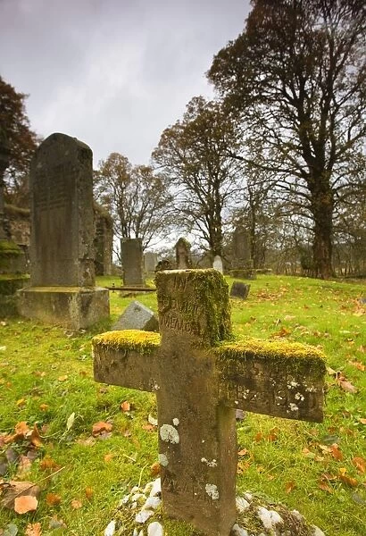Moss-Covered Gravestones; Argyl And Bute, Scotland, Uk