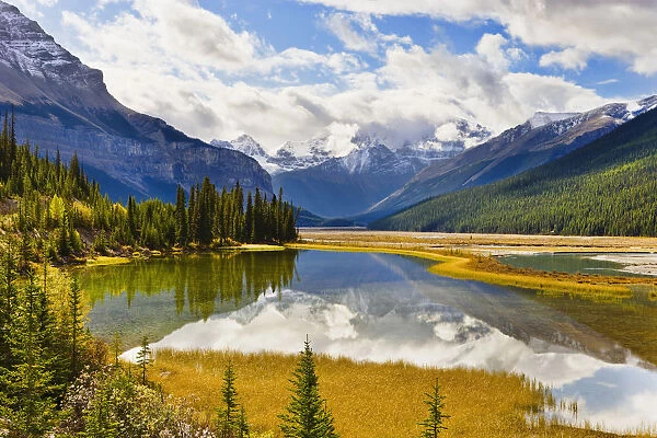 Mount Kitchener Reflected In Pond Near Beauty Creek Hostel, Jasper National Park, Alberta