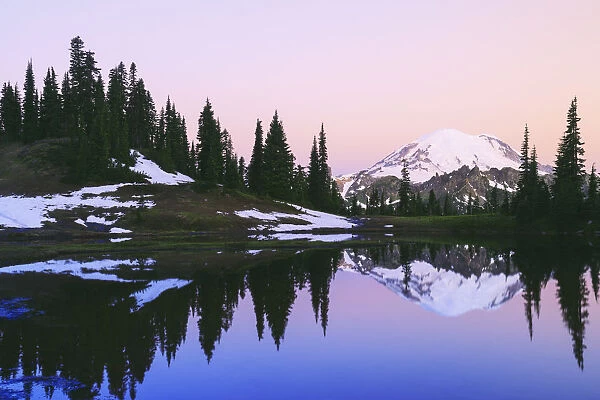 Mount rainier reflected in a pond at sunset near tipsoo lake mount rainier national park; Washington united states of america