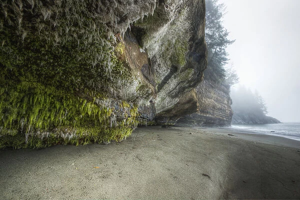 Mystic Beach Along The Juan De Fuca Marine Trail; Vancouver Island British Columbia Canada