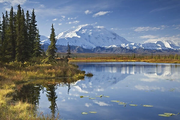 The North Face And Peak Of Mt. Mckinley Is Reflected In A Small Tundra Pond In Denali National Park, Alaska