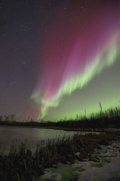 Northern Lights, Edmonton, Alberta, Canada