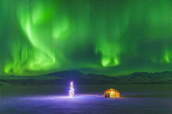The Northern Lights Glow In The Sky Above A Backpacking Tent And Christmas Tree Next To It At Twilight Alaska Range In The Distance Winter Isabel Pass Richardson Highway Interior Alaska; Alaska United States Of America