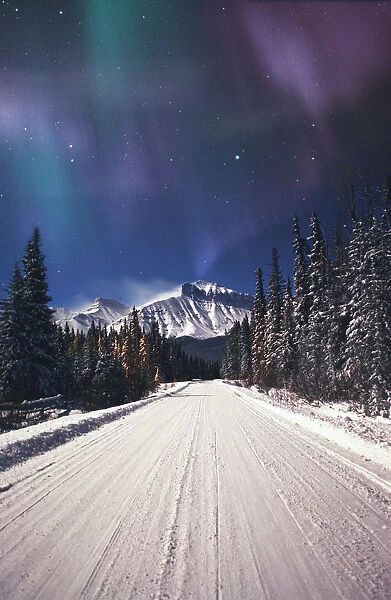 Northern Lights Over A Snowy Road