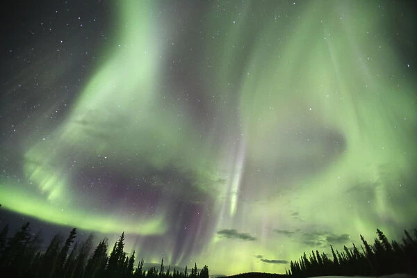 Northern Lights Over Teslin, Yukon