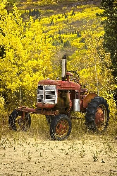 Old Farm Tractor