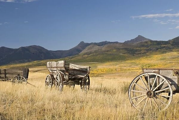 Old Wagons, Foothills, Alberta, Canada