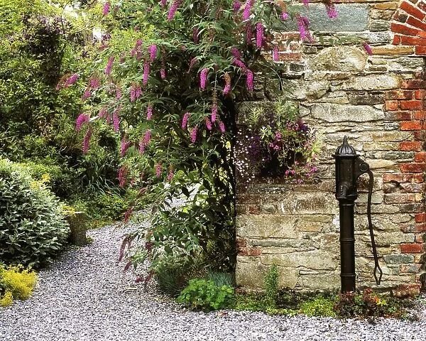Old Water Pump, Ram House Garden, Co Wexford, Ireland