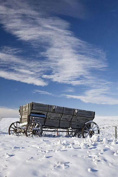 An old wooden wagon on a snow covered hillside with blue sky and clouds; Alberta canada