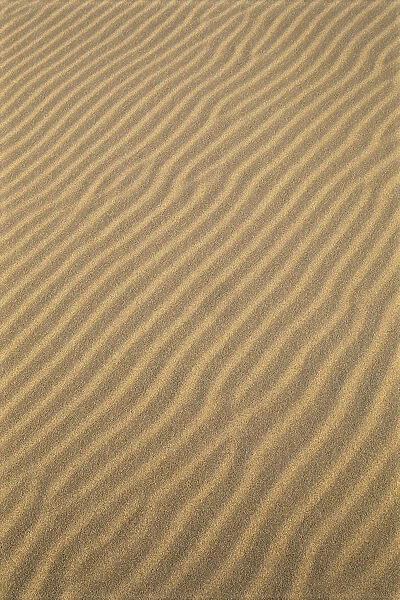 Oregon Dunes National Recreation Area, Sand Patterns, Wave Like