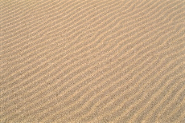 Oregon Dunes National Recreation Area Sand Patterns, Detail A33F