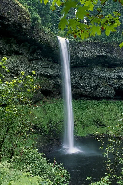 Oregon, Silver Falls National Park, South Falls, B1653