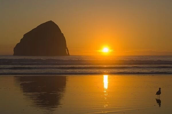 Oregon, United States Of America; Cape Kiwanda And Haystack Rock At Sunset