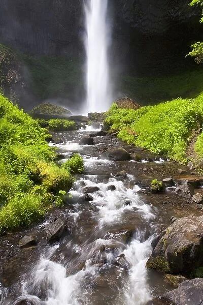 Oregon, United States Of America; Latourell Falls In The Columbia River Gorge National Scenic Area