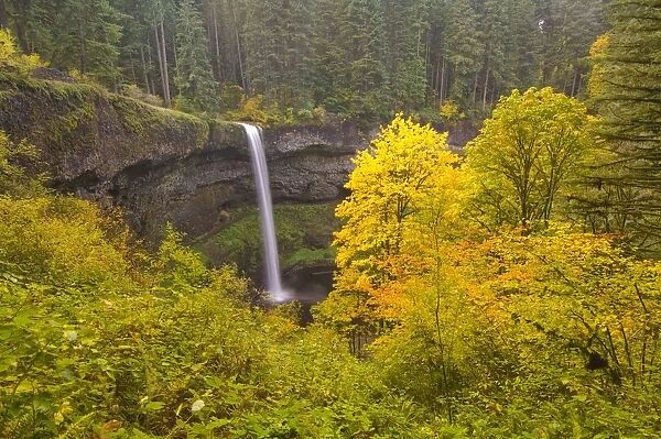 Oregon, United States Of America; South Silver Falls In The Autumn In Silver Falls State Park