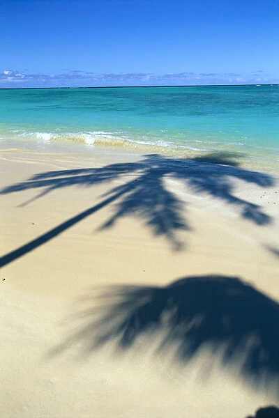 Palm Shadows On White Sand Beach, Turquoise Water C1713