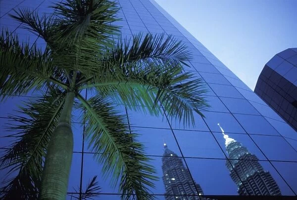 Palm Tree And Reflection Of Petronas Towers In Facade