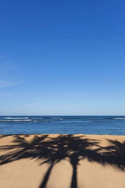 Palm Tree Shadows On The Sand At The Beach On A Nice Clear Blue Sky Day; Honolulu, Oahu, Hawaii, United States Of America