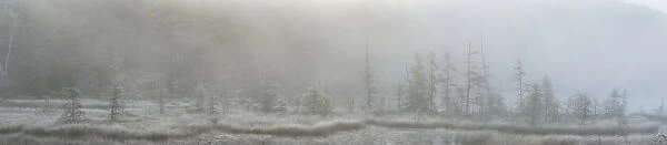Panoramic View Of Early Morning Mist Over A Small Pond Along The Rock Lake Road, Algonquin Park; Ontario, Canada