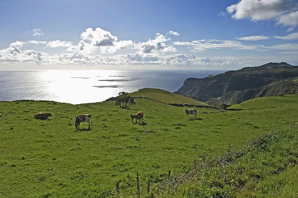 Pastoral Landscape Of Santa Maria Island