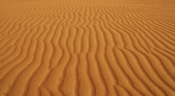 Patterns In The Desert Sand; Sultanate Of Oman