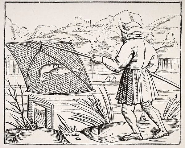 The Pond Fisherman. 19Th Century Copy Of Woodcut In Cosmographie Universelle Dated 1549
