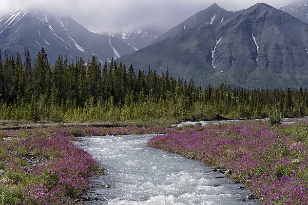 Pristine wilderness in Yukon, Canada