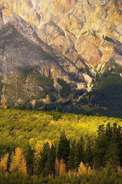 Pyramid Mountain And Fall Colours, Jasper National Park, Alberta