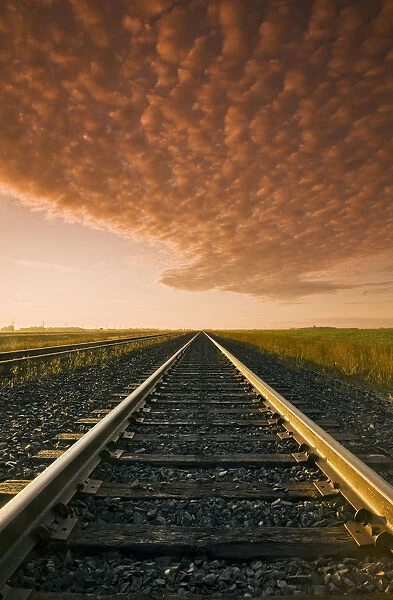 Railway At Sunrise, Near Winnipeg, Manitoba
