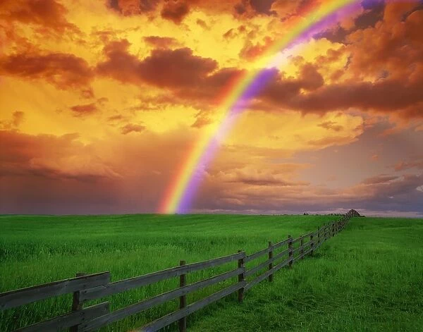 Rainbow In Country Field With Gold Clouds