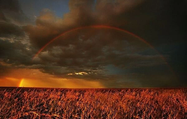 Rainbow Above Farmers Field