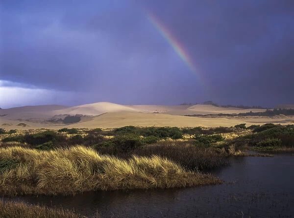 A Rainbow Over The Umpqua Dunes, Oregon Dunes National Recreation Area; Oregon, United States Of America