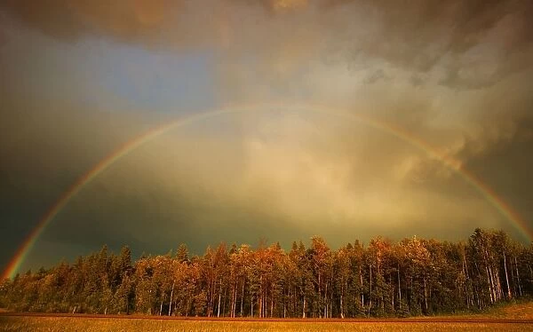 A Rainbow Over A Wooded Area